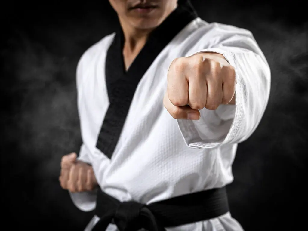 Online Store Phoenix | Ares BJJ